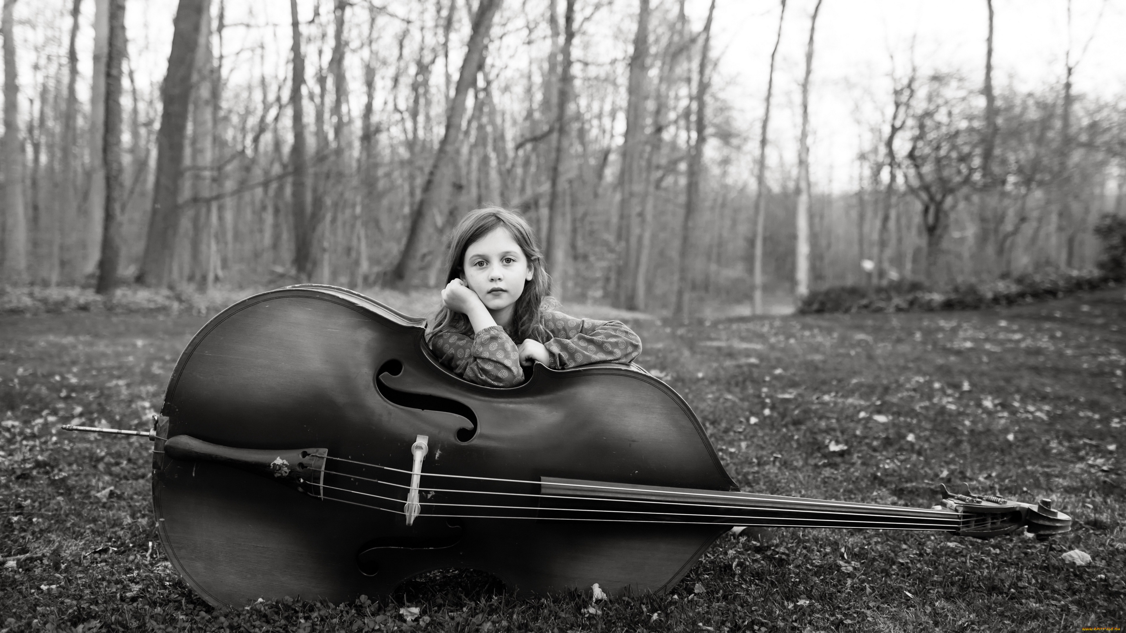 музыка, -другое, девочка, виолончель, парк, осень